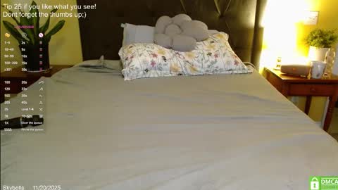 Snapshot of skybella_ chatting on November 20, 2025, 2:06 pm Skylar online show from November 20, 2025, 2:06 pm