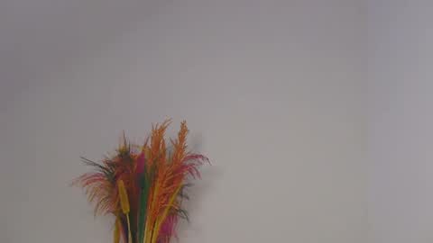 Snapshot of skyy_brown chatting on February 5, 2025, 8:32 am Bella online show from February 5, 2025, 8:32 am