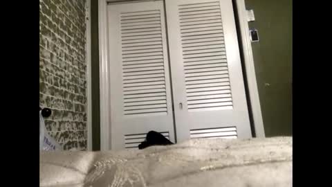 Slangindopee online show from January 22, 2025, 11:56 am