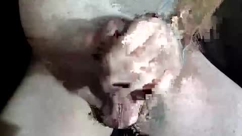 Snapshot of slash1710 chatting on December 2, 2025, 8:48 pm Z online show from December 2, 2025, 8:48 pm