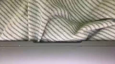 slice5 online show from March 21, 2026, 9:36 am