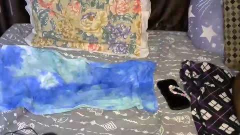 slim_me online show from May 7, 2026, 7:36 am