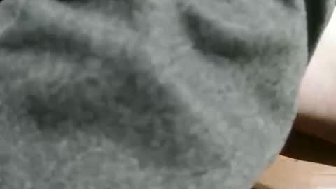 slimsunny online show from December 4, 2024, 5:49 am