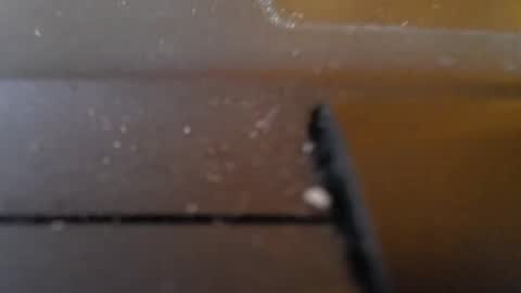 Jemila online show from January 29, 2025, 1:27 am