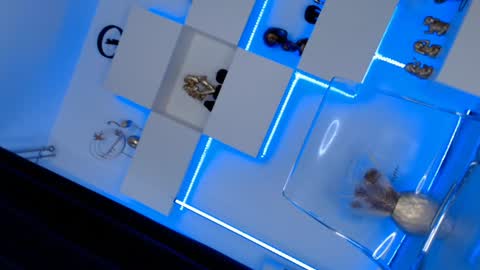 Ariana online show from January 10, 2025, 11:43 am