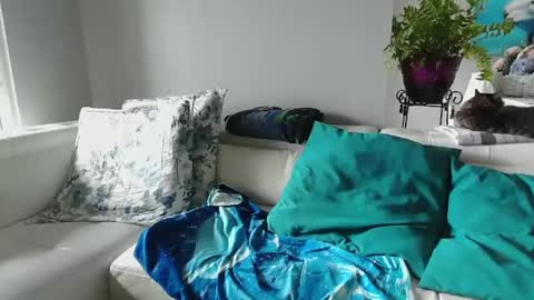 Daddy online show from February 11, 2025, 4:56 pm