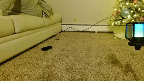 Smexy online show from December 9, 2024, 2:24 am