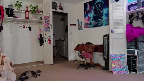 Snapshot of smokihippi chatting on November 11, 2025, 2:39 pm Big Dawg online show from November 11, 2025, 2:39 pm