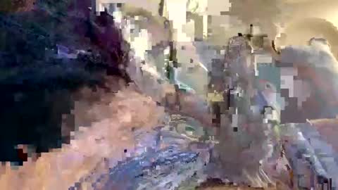 smokingdank online show from December 18, 2024, 3:47 am