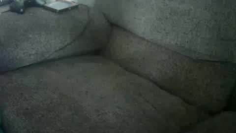 Snail online show from February 10, 2026, 1:48 pm