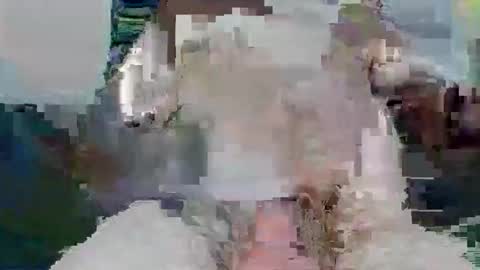 snakey boy online show from November 26, 2025, 10:05 am