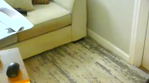 snizniz online show from January 21, 2025, 6:23 pm