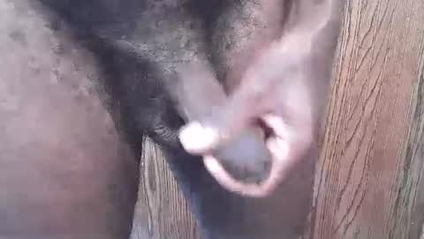 snkr1244 online show from September 13, 2025, 6:29 pm