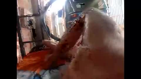 Snapshot of snqhephncxpu chatting on February 17, 2026, 1:18 pm snqhephncxpu online show from February 17, 2026, 1:18 pm