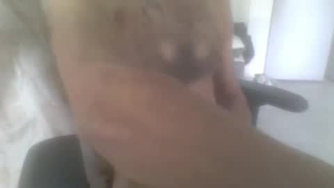 sodomite754 online show from November 9, 2025, 5:06 am