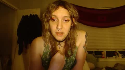 Snapshot of soffpurr chatting on November 3, 2025, 7:53 am Lilytea online show from November 3, 2025, 7:53 am