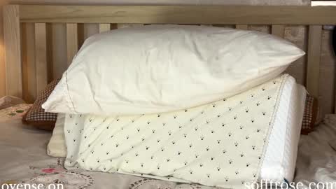 Snapshot of sofftrose chatting on January 11, 2025, 12:33 am Julia    online show from January 11, 2025, 12:33 am