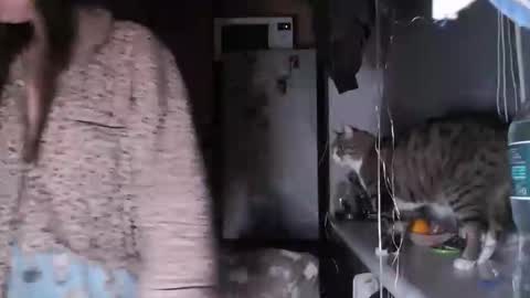 Sofi online show from December 14, 2025, 8:02 pm