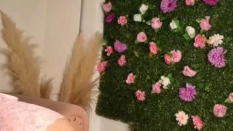 Sofi  online show from January 15, 2026, 6:55 pm