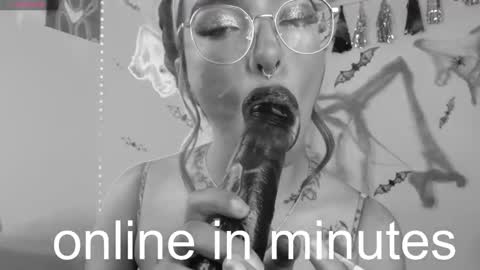 Sofia online show from February 1, 2025, 4:03 am