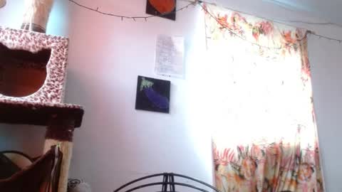 Sofia online show from January 6, 2026, 12:09 pm