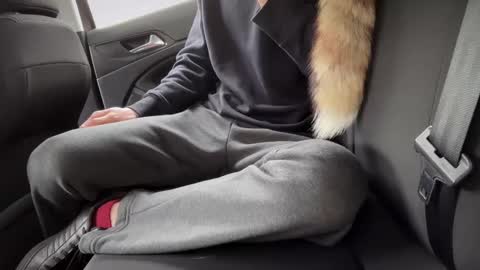 Sondages online show from February 23, 2025, 8:49 am