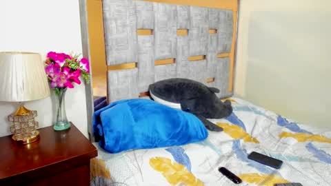 Snapshot of sophia_harry chatting on December 2, 2025, 2:17 am sophia CM online show from December 2, 2025, 2:17 am