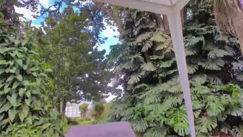 sophiaguzman_ online show from January 16, 2026, 3:38 pm