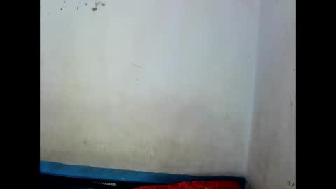 Snapshot of sophialaurel chatting on January 12, 2025, 4:42 am sophialaurel online show from January 12, 2025, 4:42 am