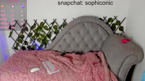 Snapshot of sophiconic_cb chatting on February 7, 2025, 3:01 am Clara sophia online show from February 7, 2025, 3:01 am