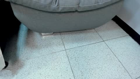 sophieharris__ online show from January 23, 2025, 11:36 pm