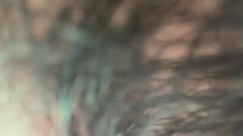 Snapshot of soprettyithurts69 chatting on November 10, 2025, 3:33 pm soprettyithurts69 online show from November 10, 2025, 3:33 pm