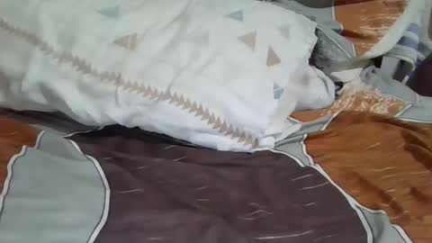 Dany online show from December 2, 2024, 1:13 pm