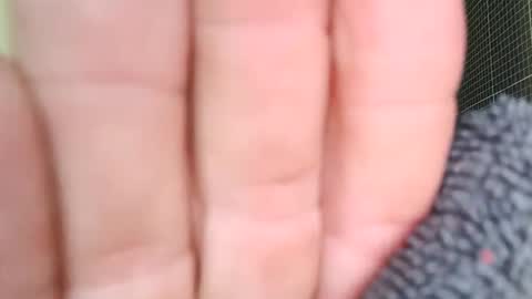 sowbilbao1 online show from April 5, 2026, 1:19 pm