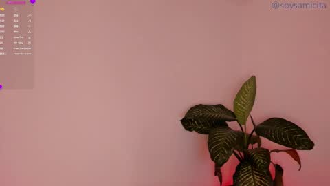 Sami Diaz   online show from December 17, 2024, 8:34 am