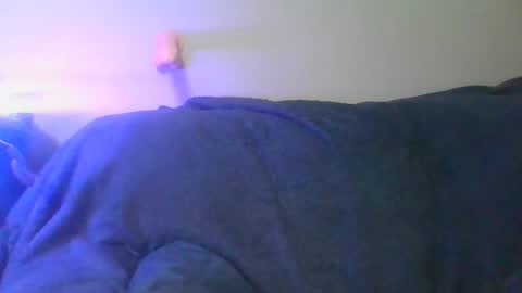 Scottietee online show from April 11, 2026, 7:45 am