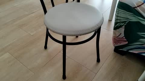 Snapshot of sparky_yena chatting on March 2, 2026, 1:51 pm Leo online show from March 2, 2026, 1:51 pm