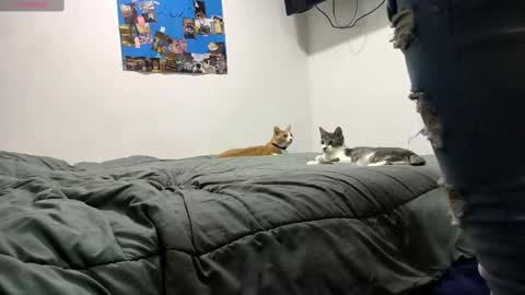 spartan_knight16 online show from September 13, 2025, 9:47 pm