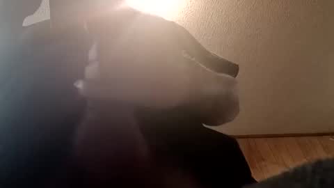 spundsrt online show from February 24, 2025, 12:48 pm