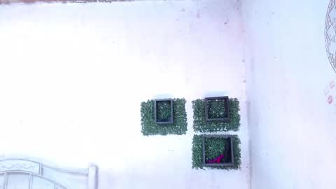 valeria online show from January 25, 2025, 12:17 am