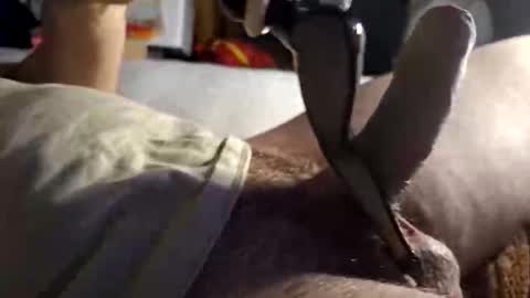 srb543 online show from December 16, 2025, 9:09 pm