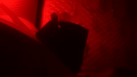 Snapshot of st0ned_d chatting on October 22, 2025, 8:36 am Dick online show from October 22, 2025, 8:36 am