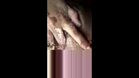 staceyrey online show from March 15, 2026, 7:25 am