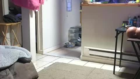 Snapshot of stacytasteme chatting on October 23, 2025, 4:23 am Submissive Slut LOVES adoration online show from October 23, 2025, 4:23 am