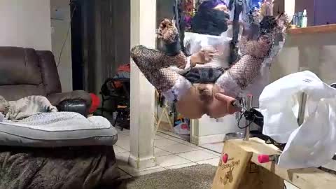 Snapshot of stacytasteme chatting on November 12, 2025, 7:20 am Submissive Slut LOVES adoration online show from November 12, 2025, 7:20 am