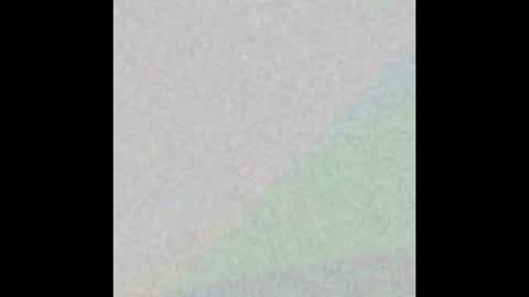 stagvixen_xo online show from December 22, 2025, 12:07 am