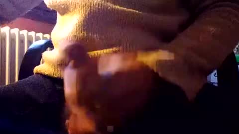 CIPPALIPPA online show from December 31, 2024, 1:08 pm