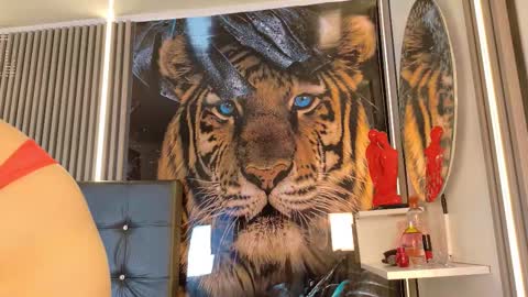 Snapshot of startevans chatting on March 14, 2026, 4:18 am startevans online show from March 14, 2026, 4:18 am