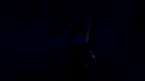 steelydan1942 online show from January 18, 2026, 11:36 am