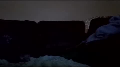 stefy1037 online show from January 10, 2026, 8:05 am